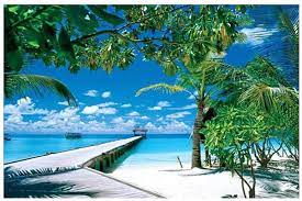 Find hundreds of free jigsaw puzzles to piece together on your computer or to share with friends. Amazon Com Cheerm Sunny Beach Jigsaw Puzzles 1000 Pieces For Adults Children S Puzzle Toy Landscape Jigsaw Puzzle Diy Collectibles Modern Home Decoration 75 X 50cm Home Kitchen