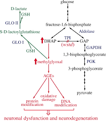 Wasted Away A Drosophila Mutation In Triosephosphate Isomerase Causes Paralysis Neurodegeneration And Early Death Pnas