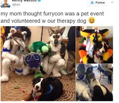 Lol Well The Dog Looks Like He S Having A Blastxd Furry Quote Furry Meme Pet Event