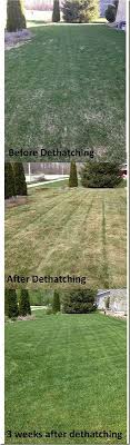 De Thatching I Have Never Heard Of This Before Might Need To Do This To Perk Up The Yard Lawn Maintenance Outdoor Gardens Lawn