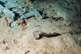 Are There Bodies At The Titanic Wreck Site Titanic Wreck Rms Titanic Titanic