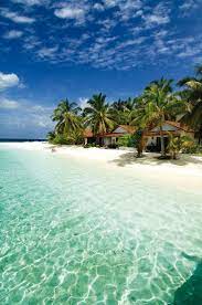 Diamonds Thudufushi Fantastic Snorkeling Beautiful Beaches Paradise Maldives Island Dream Vacations
