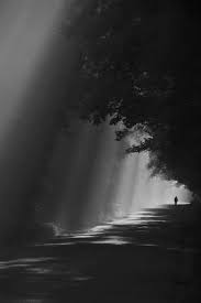 Beauty Black And White Photography Quotes Pin By Tori A On Beauty Quotes Wallpapers Black White Landscape Black White Aesthetic Black White Photography