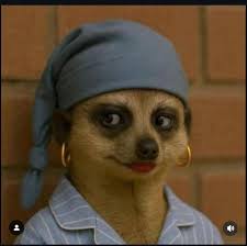 Asbestos exposure in TDCJ unit, what can be done?