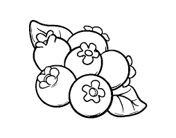 The original format for whitepages was a p. Blueberries Coloring Page Coloringcrew Com