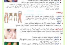 كراس تعابير و اثراء الإنتاج الكتابي. Ø§Ù†ØªØ§Ø¬ ÙƒØªØ§Ø¨ÙŠ Ø³Ø§Ù…ÙŠ Ùˆ Ø§Ù„Ø¹ØµÙÙˆØ± Ø§Ù„Ø¬Ø±ÙŠØ­ Ù…ÙˆÙ‚Ø¹ Ù…Ø¯Ø±Ø³ØªÙŠ