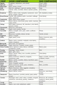 Herbs Table Chart Pdf Organic Garden Companion Planting