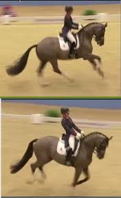 How To Sit The Canter Properly: 12 Steps (With Pictures) - Wikihow
