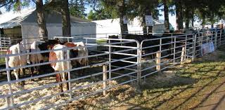 True north farm gates are made with heavy duty steel and are built to contain cattle and horses. Duralume Standard 6 Bar Farm Gate Heavy Duty Aluminum Cattle Gate