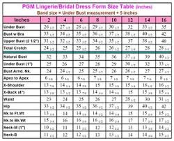 Pgm Pro 602d Bridal Professional Dress Form Choose Sizes 2
