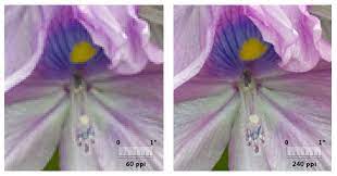 Check spelling or type a new query. Image Resolution In Photoshop