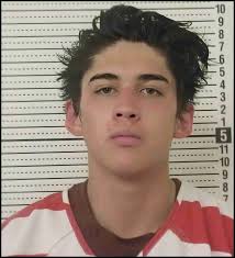 Pit bulls kill four in last two days of January 2024