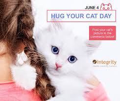 Here are spiceworkers posing with. Hug Your Cat Day