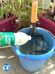 L Astuce Miracle Pour Eliminer La Rouille Sur Les Outils De Jardin En 2020 Outils Jardinage Outils De Jardin Astuces Pour Nettoyer