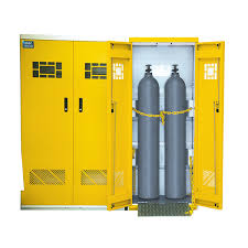 We did not find results for: Gas Cylinder Storage Cabinets Apex Scientific South Africa