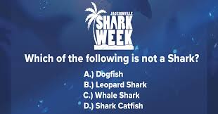 There was something about the clampetts that millions of viewers just couldn't resist watching. Jacksonville Sharks Inicio Facebook