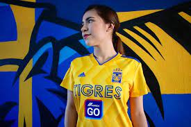 We did not find results for: Tigres Femenil Tigres Femenil Estrenara Patrocinador En Facebook