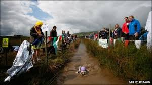 Image result for bog snorkelling
