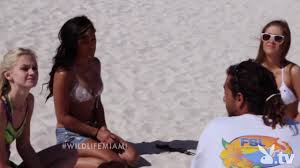 Playboy tv the wild life miami