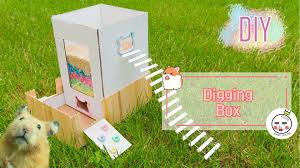 I Made A Diy Hamster Digging Box For My Hammy Taco D Hamster Hammy Diy Craft Toy Hamsterdiy Diyhamster Car Hamster Diy Diy Hamster Toys Hamster Toys