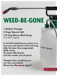Homemade Weed Killers
