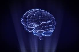 Exploring Prenatal Stressors & the Key Maternal Role in Neurodevelopment |  NYU Langone News