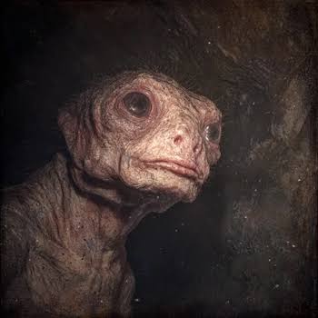 CHUD | Here Be Dragons Wiki | Fandom