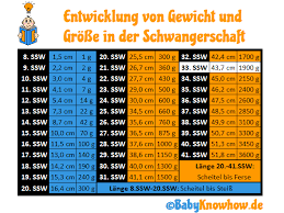 33 Ssw Entwicklung Vorsorgeuntersuchung Ultraschall