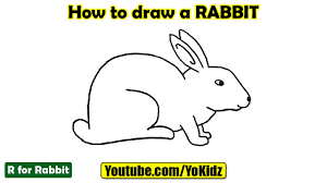 Learn how to draw a realistic bunny! How To Draw A Rabbit Youtube
