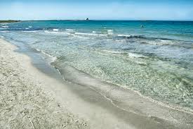 La marina di ostuni in particolare vanta spiagge bellissime che si susseguono in un litorale di 3 km. La Riserva Naturale Di Torre Guaceto Tra Le Piu Belle D Europa