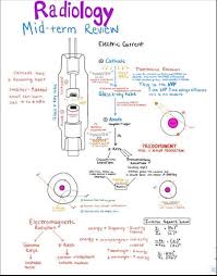 Radiology From I Love Veterinary Medicine Fb Page Vet Tech Student Vet Tech School Radiology Student