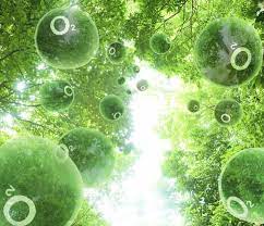 How Much Oxygen Does One Tree Produce Small Artificial Plants Artificial Plant Arrangements Cheap Artificial Plants
