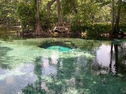 Best Place I Ever Went Camping Ginnie Springs In Florida Coolest Water And They Have Caves You Can Dive I Road Trip Adventure Beaches Near Me Vacation Trips