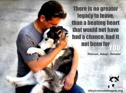 Maybe you would like to learn more about one of these? There Is No Greater Legacy To Leave Than A Beating Heart That Would Not Have Had A Chance Had It Not Been For You Rescue Adopt D Animals Husky Rescue Dogs