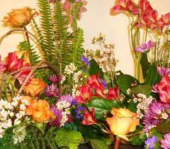 2205 highland dr, knoxville, tn 37918. About Petree S Flowers Inc Knoxville Tn Florist