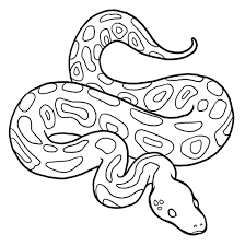 Upload your photo to turn it into a coloring page. Animal Facts Coloring Sheets Long Island Children S Museum