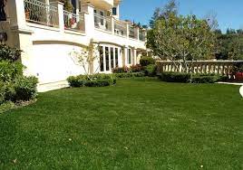 Maybe you would like to learn more about one of these? Palm Springs Artificial Grass Synthetic Grass Warehouse