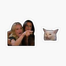 Woman Yelling At Cat Funny Meme Sticker Sticker By Meme Dreamer Redbubble Funny Cat Memes Meme Stickers Funny Memes