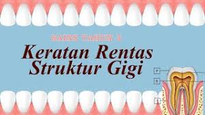 Struktur gigi sains tahun 3 youtube. Unit 3 Keratan Rentas Struktur Gigi Sains Tahun 3 Youtube