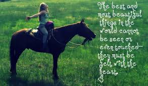 Me And My Favorite Horse Deacon I Love This Quote By Helen Keller Horse Love Quotes Cute Horse Quotes Funny Horse Pictures