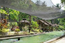 We did not find results for: Wisata Air Buken Banyumas Mata Air Bukit Kendalisada Topwisata