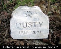 Enterrer Un Animal Quelles Solutions