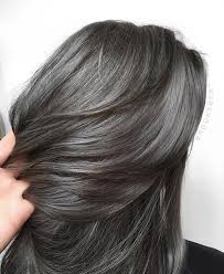 Deep Steel Color Brookebent Ash Hair Color Gray Hair Highlights Lavender Grey Hair