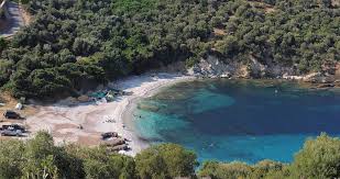 We did not find results for: Paralia Mageiras Aylwnarioy Notia Eyboia Eviaportal Gr