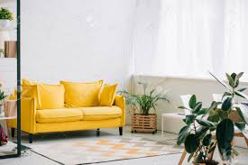 Green/yellow living room sofa velvet / fabric 2 seat modern style indoor. Spacious Living Room With Yellow Sofa Carpet On Floor And Plants Stock Photo Picture And Royalty Free Image Image 124555006