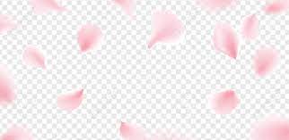 Carried away by the breeze maybe someday i'll be at ease. Pink Sakura Petals Falling Flower Vector Isolated Background Royalty Free Cliparts Vectors And Stock Illustration Image 102548752