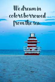 She loves the serene brutality of the ocean, loves the electric power she felt with each breath of wet, briny air. 10. 6 Word Beach Quotes 117 Of The Best Beach Quotes For Instagram Captions Beach Pics Dogtrainingobedienceschool Com