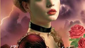 Seria Fallen Angels de Mary Jo Putney-pasiune și suspans