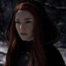 46 ideas de From blood and ashes