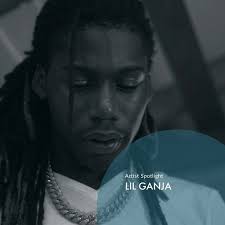 RISING ARTISTS' HOT HITS TO RECOGNIZE IN 2021 BY POPULAR VOTE